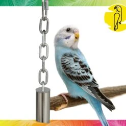 Caitec Featherland Paradise Stainless Steel Bell Bird Toy 12 Caitec Featherland Paradise Stainless Steel Bell Bird Toy -Sunny Decor Shop 311558 PT1. AC SS1800 V1668531337