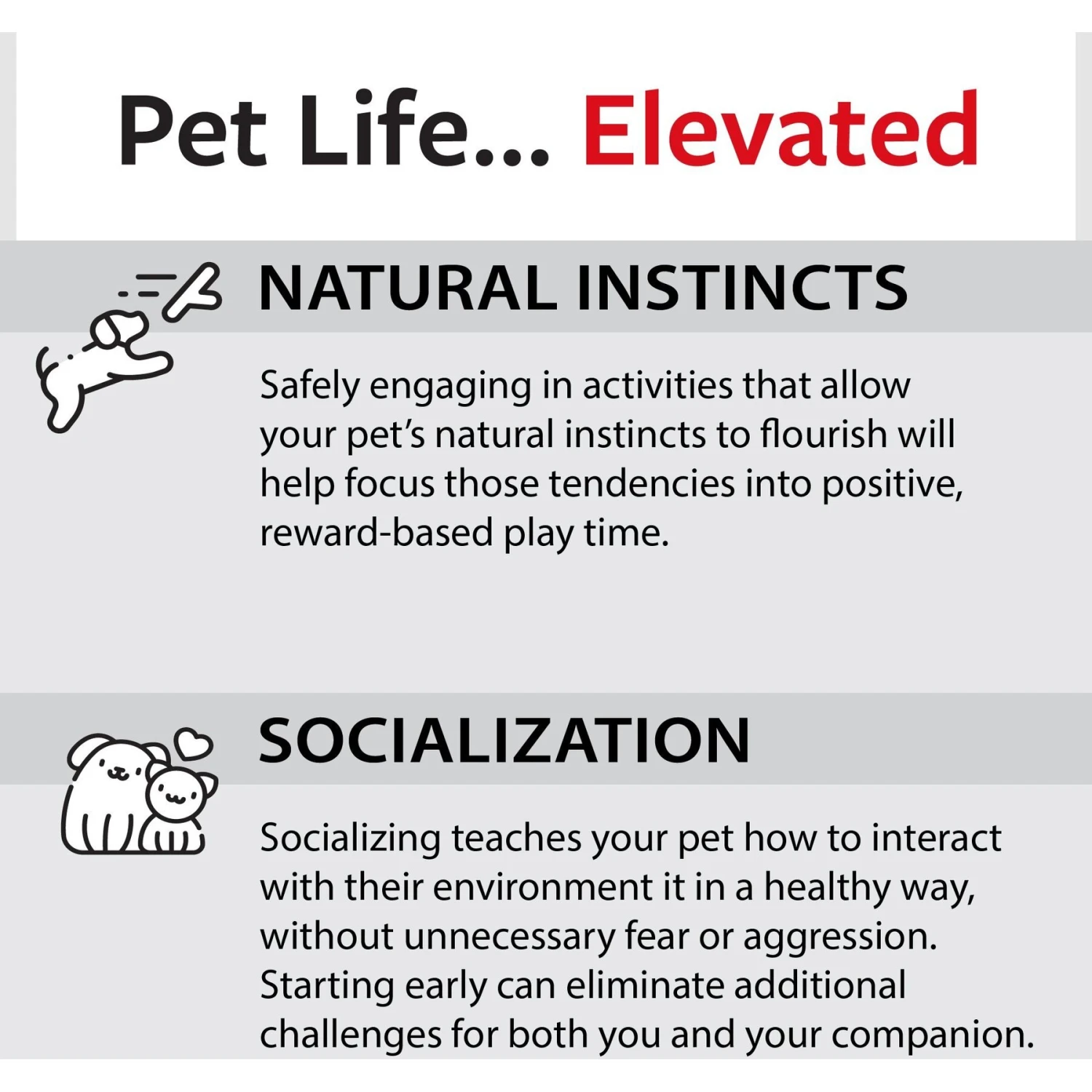 Caitec Featherland Paradise Stainless Steel Bell Bird Toy 10 Caitec Featherland Paradise Stainless Steel Bell Bird Toy - Image 8