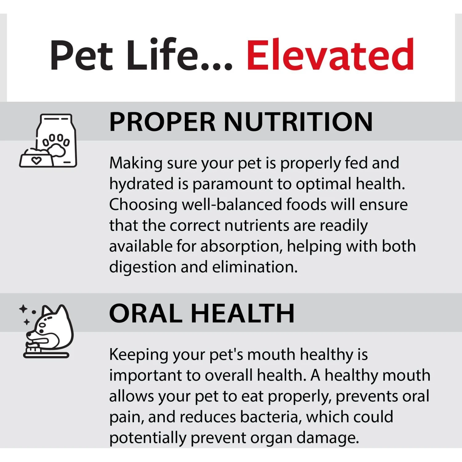 Caitec Featherland Paradise Stainless Steel Bell Bird Toy 11 Caitec Featherland Paradise Stainless Steel Bell Bird Toy - Image 9