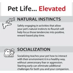 Caitec Featherland Paradise Tinker Round Bird Toy 18 Caitec Featherland Paradise Tinker Round Bird Toy -Sunny Decor Shop 311564 PT7. AC SS1800 V1668729253