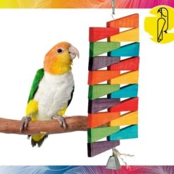 Caitec Featherland Paradise Spinning Triangles Chews Bird Toy 12 Caitec Featherland Paradise Spinning Triangles Chews Bird Toy -Sunny Decor Shop 311569 PT1. AC SS1800 V1668729312