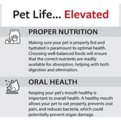 Caitec Featherland Paradise Spinning Triangles Chews Bird Toy 19 Caitec Featherland Paradise Spinning Triangles Chews Bird Toy -Sunny Decor Shop 311569 PT8. AC SS1800 V1668729315