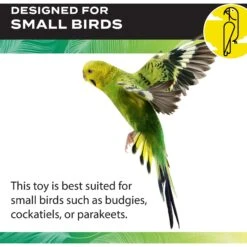 Caitec Featherland Paradise Flex Ladder Bird Toy 14 Caitec Featherland Paradise Flex Ladder Bird Toy -Sunny Decor Shop 311574 PT3. AC SS1800 V1668730119