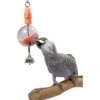 Caitec Featherland Paradise Foraging Sphere Bird Toy -Sunny Decor Shop 311599 MAIN. AC SS1800 V1626733046