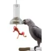 Caitec Featherland Paradise Foraging Capsule Bird Toy 2 Caitec Featherland Paradise Foraging Capsule Bird Toy -Sunny Decor Shop 311601 MAIN. AC SS1800 V1626732395