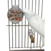 Caitec Featherland Paradise Foraging Wheel Bird Toy -Sunny Decor Shop 311603 MAIN. AC SS1800 V1626734512