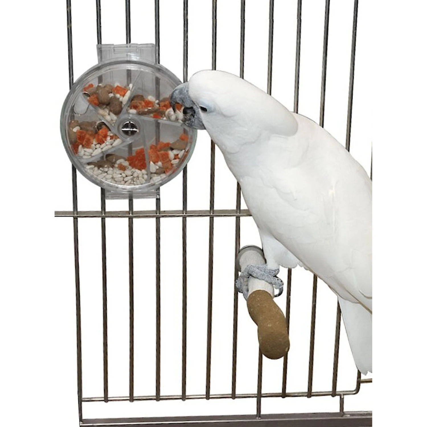 Caitec Featherland Paradise Foraging Wheel Bird Toy 3 Caitec Featherland Paradise Foraging Wheel Bird Toy