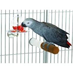Caitec Featherland Paradise Cagemount Buffet Ball Fillable Ball Bird Toy 7 Caitec Featherland Paradise Cagemount Buffet Ball Fillable Ball Bird Toy -Sunny Decor Shop 311629 PT2. AC SS1800 V1626733573
