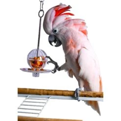 Caitec Featherland Paradise Fillable Ball & Kabob Bird Toy -Sunny Decor Shop 311635 PT1. AC SS1800 V1626733021