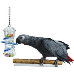 Caitec Featherland Paradise Push & Pull Bird Toy -Sunny Decor Shop 311639 PT1. AC SS1800 V1626730888