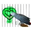 Caitec Featherland Paradise Mastermind Heart Bird Toy -Sunny Decor Shop 311647 MAIN. AC SS1800 V1626732408