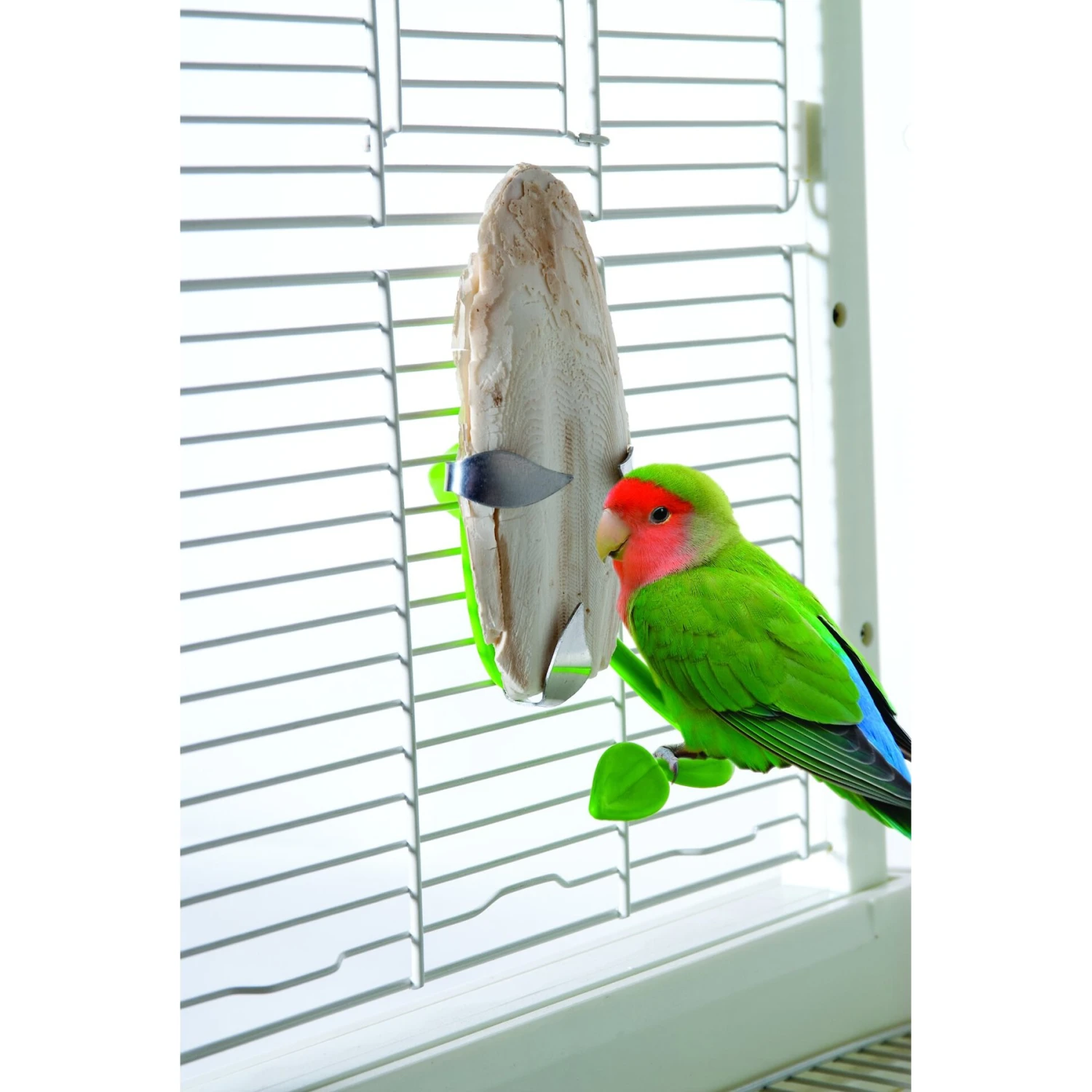 Caitec Featherland Paradise Cuttlebone Holder Bird Toy 3 Caitec Featherland Paradise Cuttlebone Holder Bird Toy