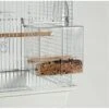 Caitec Featherland Paradise Seed Corral No Mess Feeder Bird Toy 2 Caitec Featherland Paradise Seed Corral No Mess Feeder Bird Toy -Sunny Decor Shop 311678 MAIN. AC SS1800 V1626731768