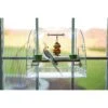 Caitec Featherland Paradise Bird Window Play Center Bird Toy -Sunny Decor Shop 311680 MAIN. AC SS1800 V1626734782