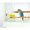 Caitec Featherland Paradise Cage Mounted Hooded Cup Bird Toy 1 Caitec Featherland Paradise Cage Mounted Hooded Cup Bird Toy -Sunny Decor Shop 311694 MAIN. AC SS1800 V1626734495