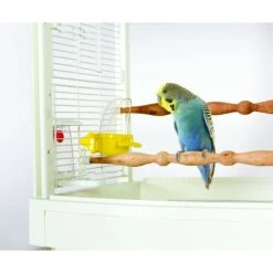 Caitec Featherland Paradise Cage Mounted Hooded Cup Bird Toy
