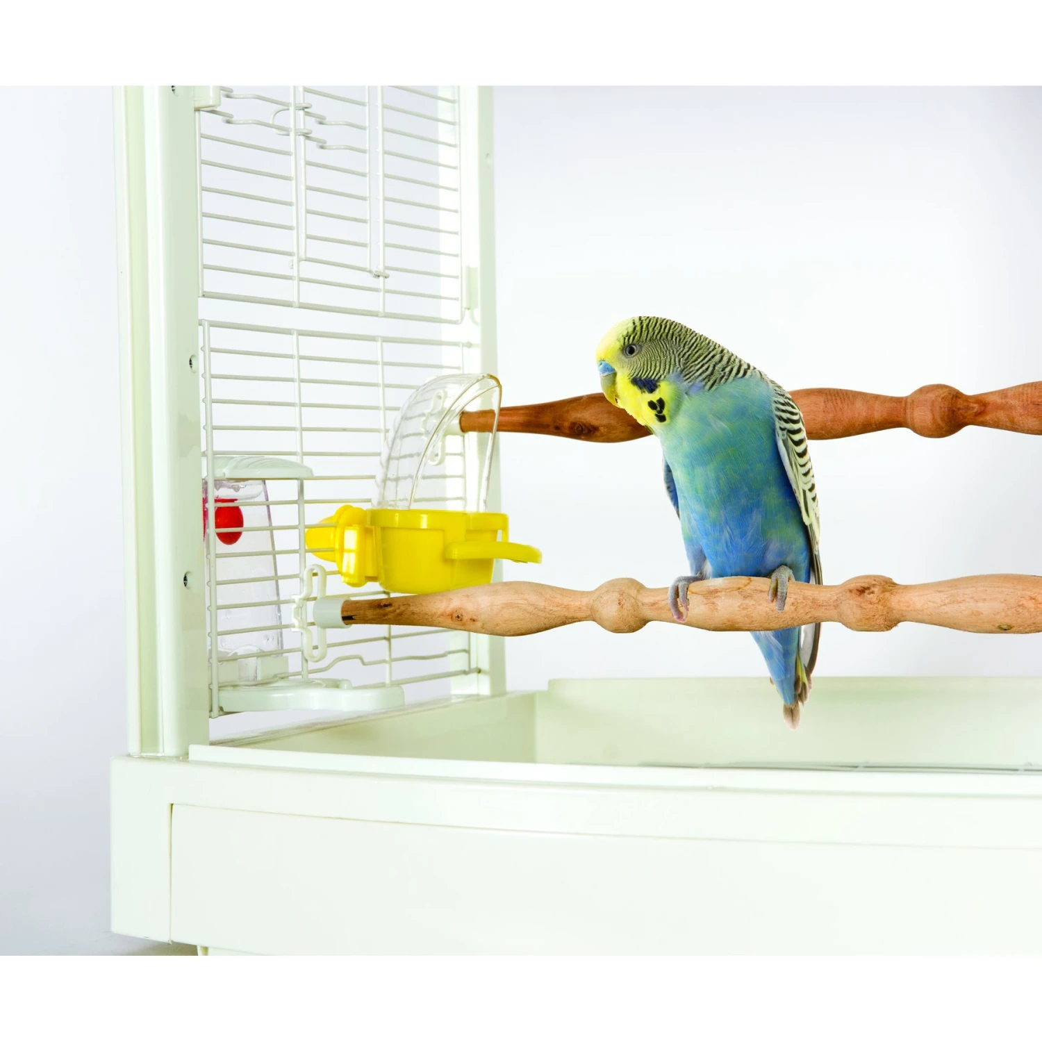 Caitec Featherland Paradise Cage Mounted Hooded Cup Bird Toy 3 Caitec Featherland Paradise Cage Mounted Hooded Cup Bird Toy
