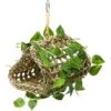 Penn-Plax Hanging Bird Hideout -Sunny Decor Shop 328702 MAIN. AC SS1800 V1633393889