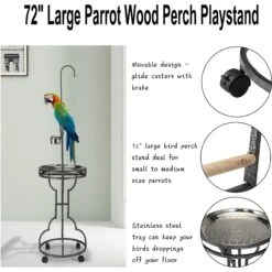 Coziwow By Jaxpety Outdoor/Indoor Bird Stand Feeder Perch 13 Coziwow By Jaxpety Outdoor/Indoor Bird Stand Feeder Perch -Sunny Decor Shop 330673 PT2. AC SS1800 V1669394311