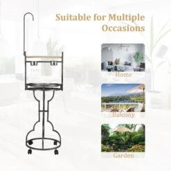 Coziwow By Jaxpety Outdoor/Indoor Bird Stand Feeder Perch 16 Coziwow By Jaxpety Outdoor/Indoor Bird Stand Feeder Perch -Sunny Decor Shop 330673 PT5. AC SS1800 V1669391249