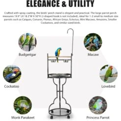 Coziwow By Jaxpety Outdoor/Indoor Bird Stand Feeder Perch 19 Coziwow By Jaxpety Outdoor/Indoor Bird Stand Feeder Perch -Sunny Decor Shop 330673 PT8. AC SS1800 V1669396894