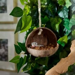Frisco Coconut Bird Feeder -Sunny Decor Shop 331450 PT4. AC SS1800 V1660703569