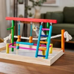 Frisco Color Me Wild Bird Playground -Sunny Decor Shop 331704 PT4. AC SS1800 V1660703306