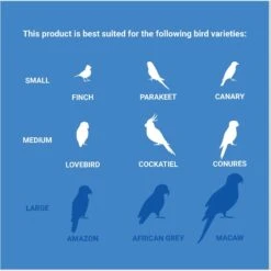 Frisco Color Me Wild Bird Playground -Sunny Decor Shop 331704 PT5. AC SS1800 V1661200356