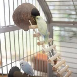 Frisco Up The Ladder Coco Bird Hut -Sunny Decor Shop 331723 PT3. AC SS1800 V1660703304