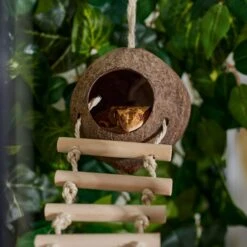 Frisco Up The Ladder Coco Bird Hut -Sunny Decor Shop 331723 PT4. AC SS1800 V1660703304