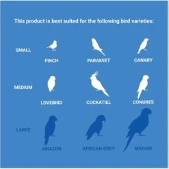 Frisco Bouquet Cluster Bird Chew Toy -Sunny Decor Shop 331737 PT4. AC SS1800 V1661200356