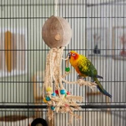 Frisco Coco Loco Bird Toy -Sunny Decor Shop 331741 PT3. AC SS1800 V1660703305