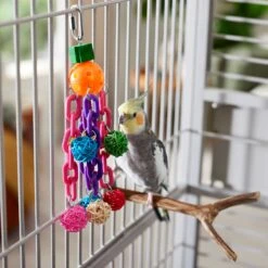Frisco Entertainment Bundle Bird Toy -Sunny Decor Shop 331747 PT3. AC SS1800 V1660703304