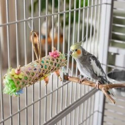 Frisco Flower Net Bird Foraging Toy -Sunny Decor Shop 331751 PT3. AC SS1800 V1660703304