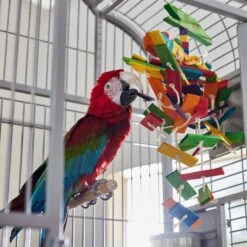 Frisco Pterodactyl Block Bird Chew Toy 9 Frisco Pterodactyl Block Bird Chew Toy -Sunny Decor Shop 331777 PT3. AC SS1800 V1660703304