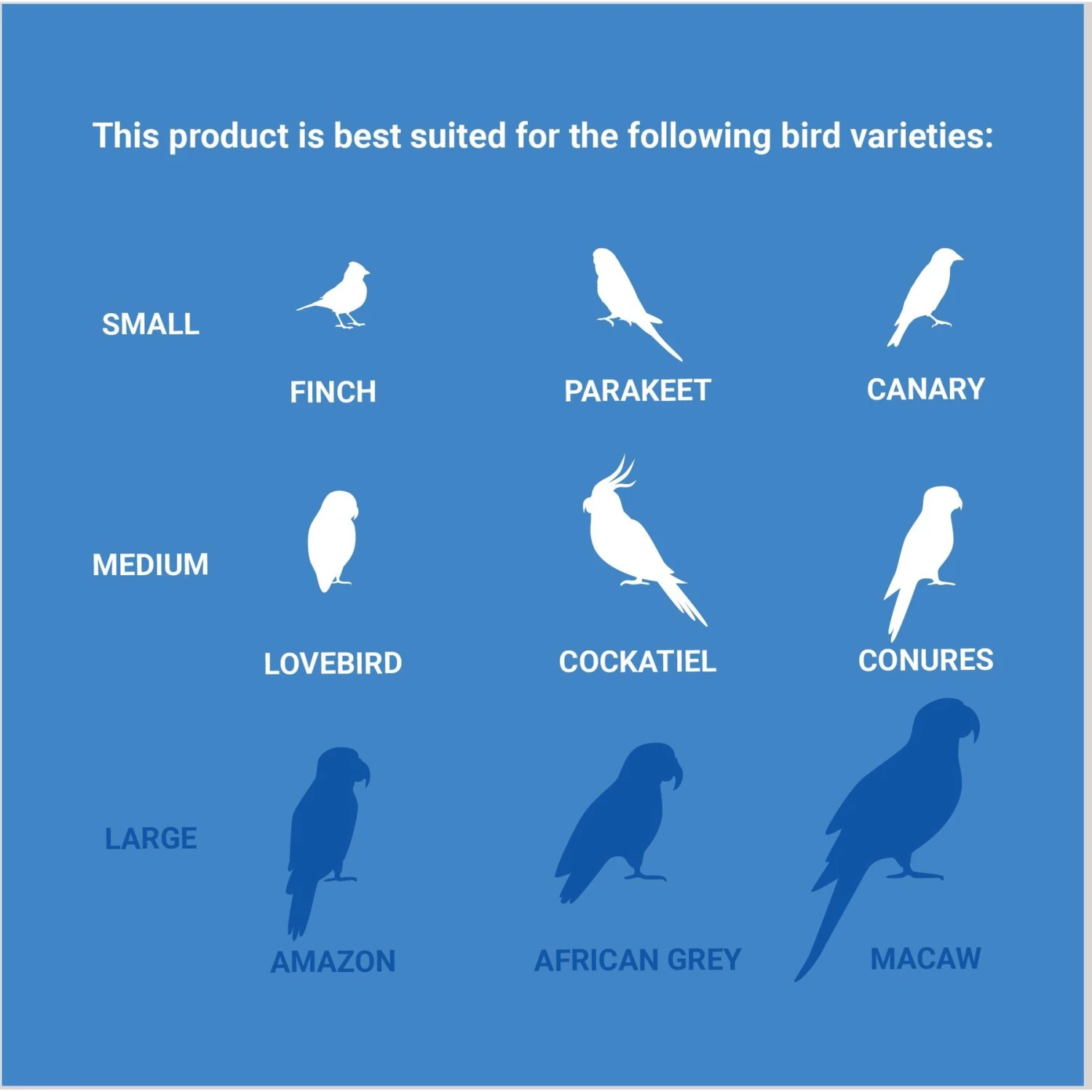 Frisco Pterodactyl Block Bird Chew Toy 6 Frisco Pterodactyl Block Bird Chew Toy - Image 4