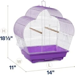 Prevue Pet Products Palm Beach Scallop Roof Bird Cage 12 Prevue Pet Products Palm Beach Scallop Roof Bird Cage -Sunny Decor Shop 333095 PT1. AC SS1800 V1634160693