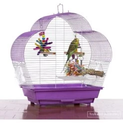 Prevue Pet Products Palm Beach Scallop Roof Bird Cage 13 Prevue Pet Products Palm Beach Scallop Roof Bird Cage -Sunny Decor Shop 333095 PT2. AC SS1800 V1634163383