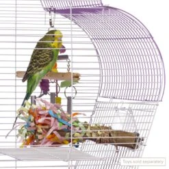 Prevue Pet Products Palm Beach Scallop Roof Bird Cage 15 Prevue Pet Products Palm Beach Scallop Roof Bird Cage -Sunny Decor Shop 333095 PT4. AC SS1800 V1634160729