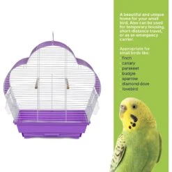 Prevue Pet Products Palm Beach Scallop Roof Bird Cage 17 Prevue Pet Products Palm Beach Scallop Roof Bird Cage -Sunny Decor Shop 333095 PT6. AC SS1800 V1634163094