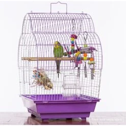 Prevue Pet Products Palm Beach Scallop Roof Bird Cage 18 Prevue Pet Products Palm Beach Scallop Roof Bird Cage -Sunny Decor Shop 333095 PT7. AC SS1800 V1634161609