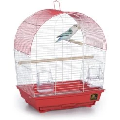 Prevue Pet Products Southbeach Dome Top Bird Cage 13 Prevue Pet Products Southbeach Dome Top Bird Cage -Sunny Decor Shop 333101 PT2. AC SS1800 V1634089060