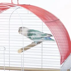 Prevue Pet Products Southbeach Dome Top Bird Cage 14 Prevue Pet Products Southbeach Dome Top Bird Cage -Sunny Decor Shop 333101 PT3. AC SS1800 V1634084498