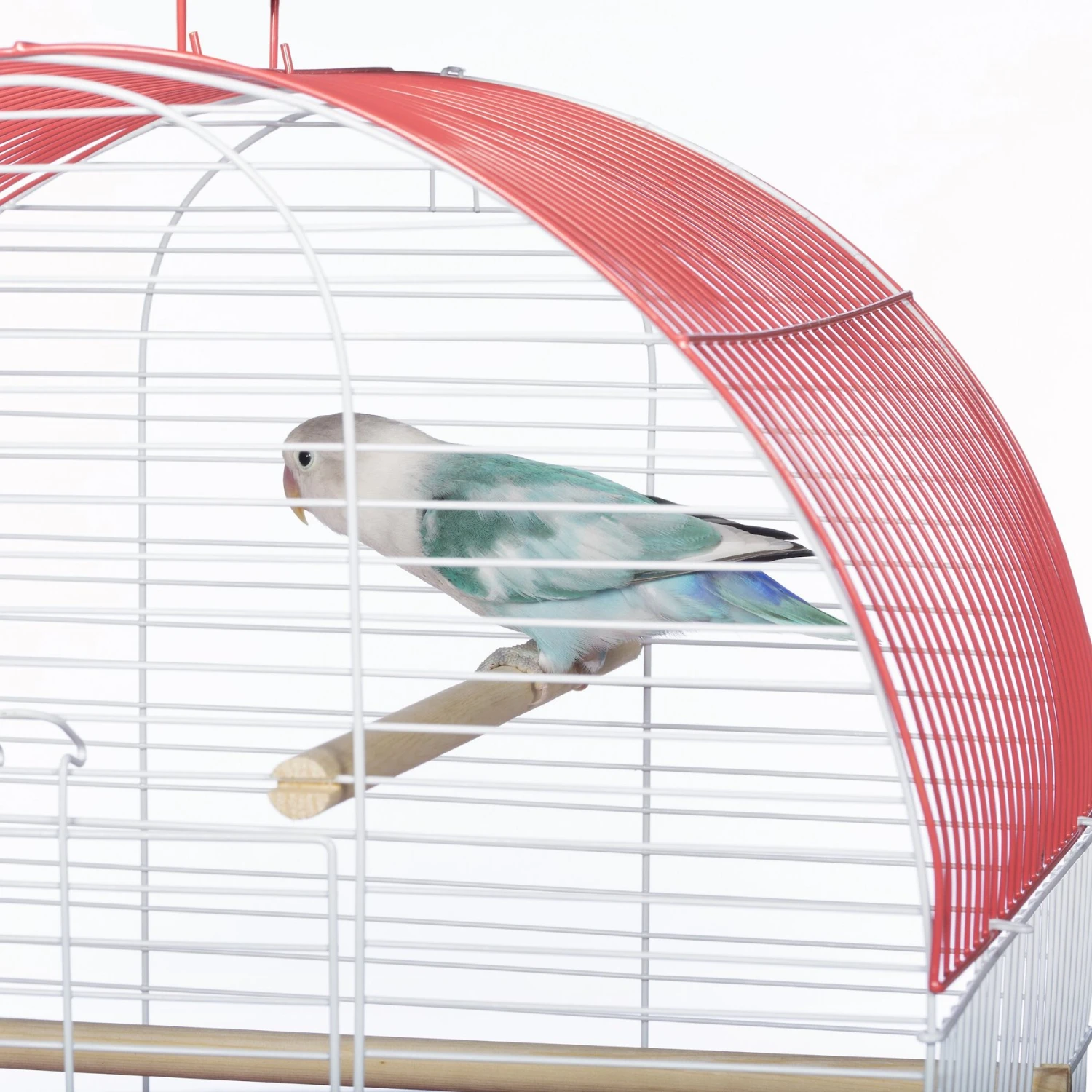 Prevue Pet Products Southbeach Dome Top Bird Cage 6 Prevue Pet Products Southbeach Dome Top Bird Cage - Image 4