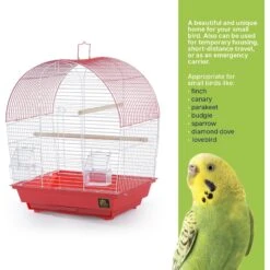 Prevue Pet Products Southbeach Dome Top Bird Cage 17 Prevue Pet Products Southbeach Dome Top Bird Cage -Sunny Decor Shop 333101 PT6. AC SS1800 V1634087853