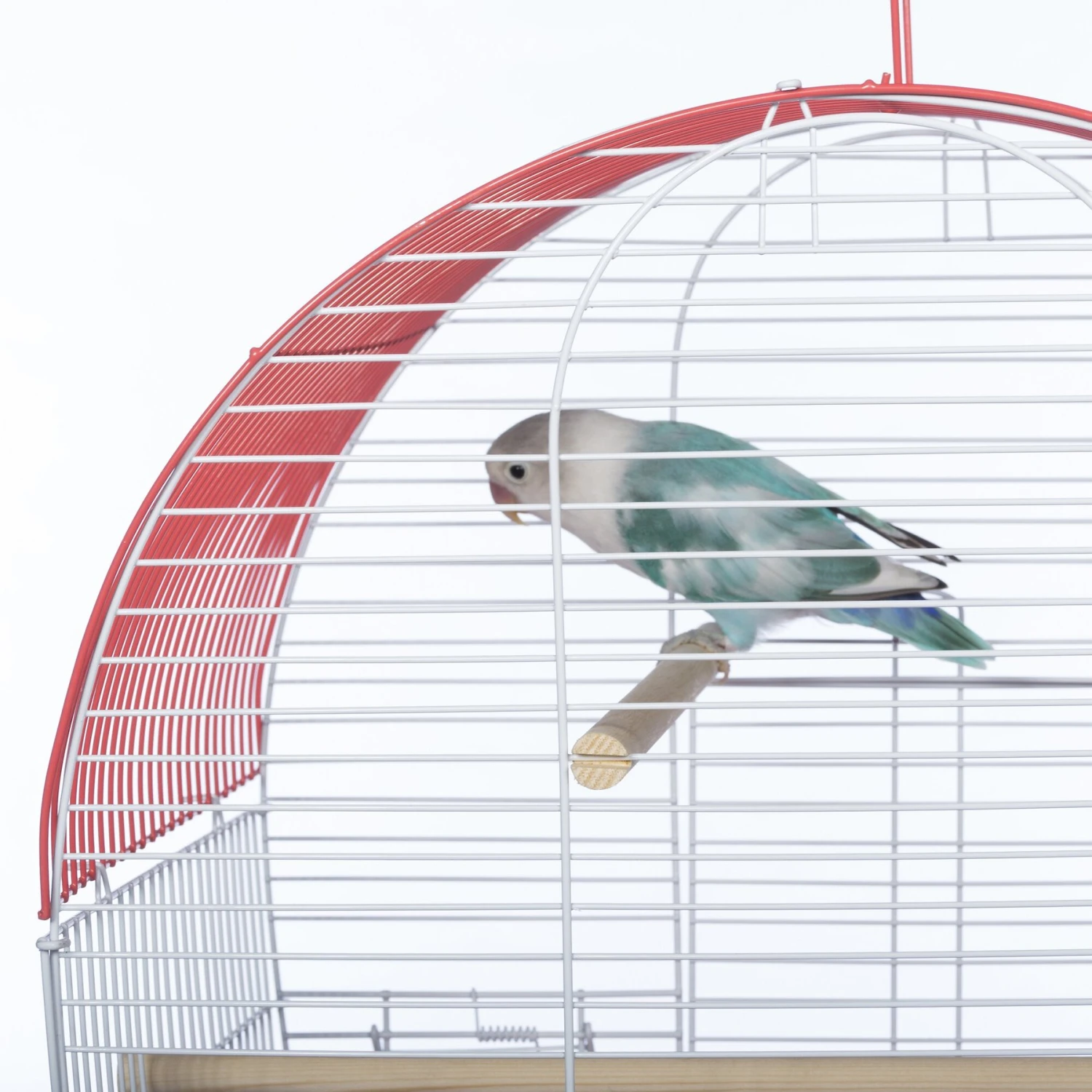 Prevue Pet Products Southbeach Dome Top Bird Cage 10 Prevue Pet Products Southbeach Dome Top Bird Cage - Image 8