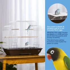 Prevue Pet Products Keet/Tiel Cascade Roof Bird Cage 18 Prevue Pet Products Keet/Tiel Cascade Roof Bird Cage -Sunny Decor Shop 333106 PT7. AC SS1800 V1634086576
