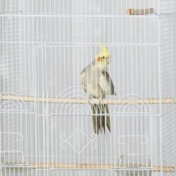 Prevue Pet Products Tall Tiel Bird Cage -Sunny Decor Shop 333115 PT4. AC SS1800 V1634085413
