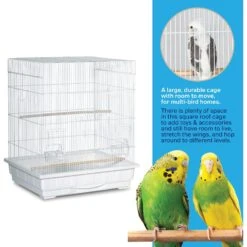 Prevue Pet Products Keet/Tiel Square Roof Bird Cage -Sunny Decor Shop 333120 PT5. AC SS1800 V1634161602