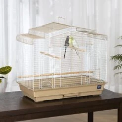 Prevue Pet Products Cockatiel Flight Bird Cage 14 Prevue Pet Products Cockatiel Flight Bird Cage -Sunny Decor Shop 333131 PT3. AC SS1800 V1634162505